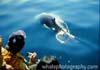 westle_whale_26